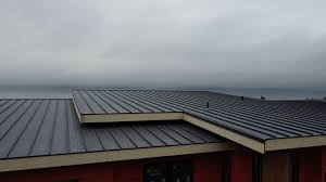 Best Roof Coating and Sealing  in Huntington, VA